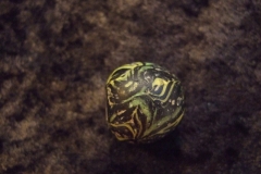 dscf0880