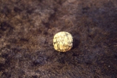 dscf0895