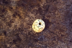 dscf0898_0