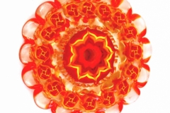 bbigreddisk-1