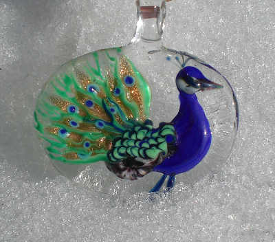 2013-feb-fr-peacock